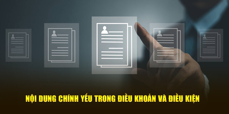 Nội dung chính yếu trong điều khoản và điều kiện